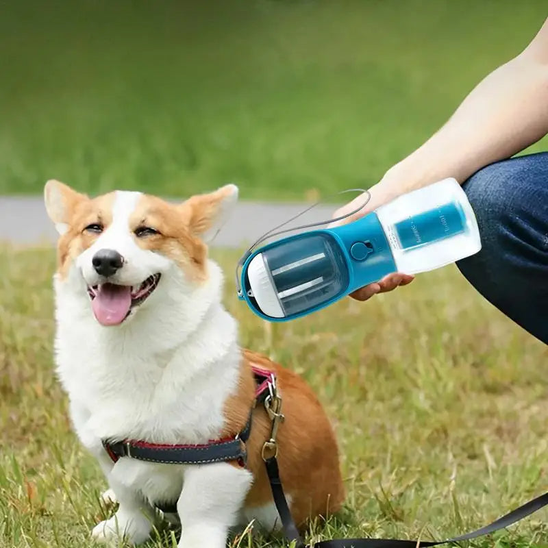 Corgi on the grass drinking from a portable dog water bottle held by its owner