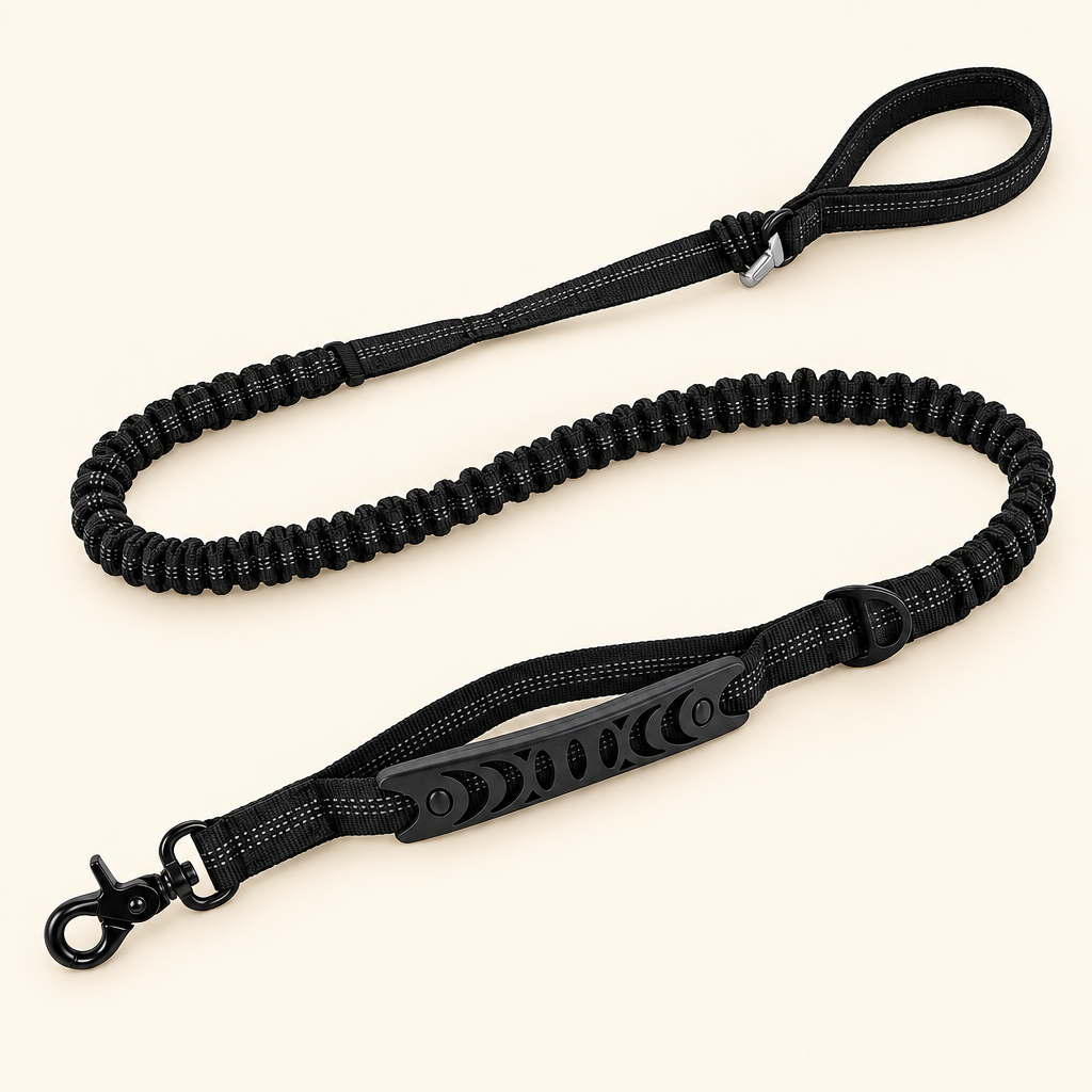 Tactical Shock-Absorbing Dog Leash on a soft cream background in a clean studio setting.