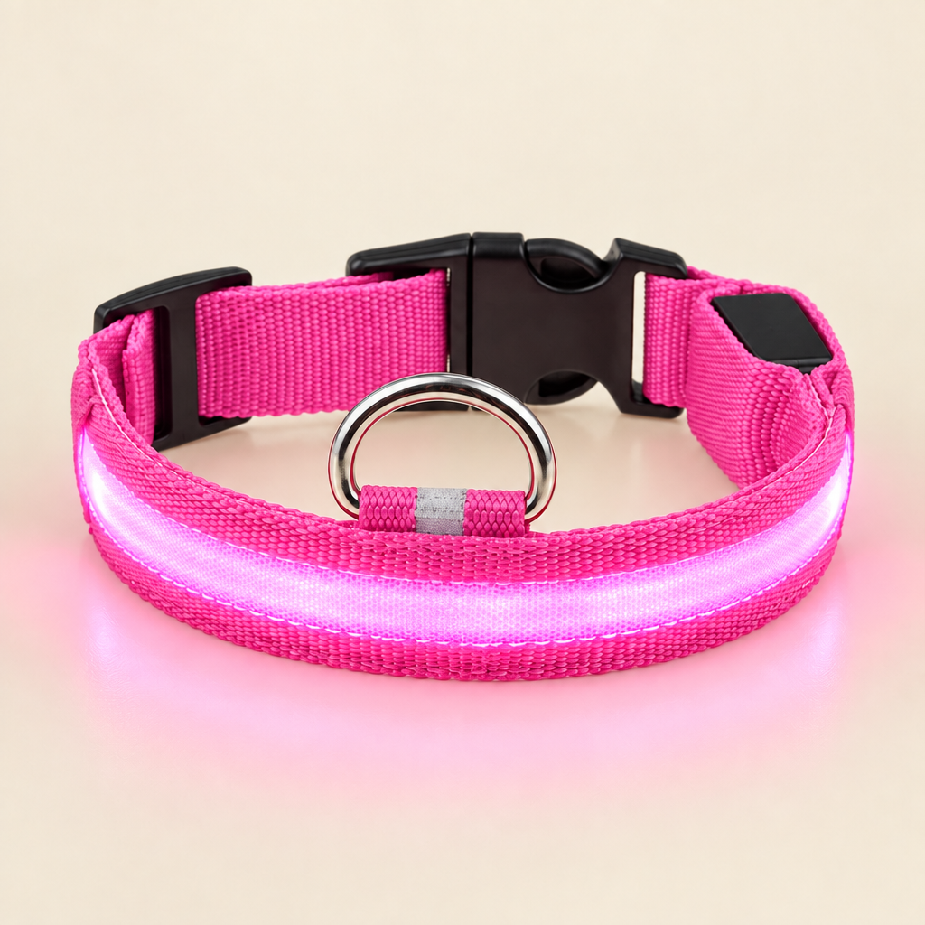 LED Light-Up Dog Collar glowing pink