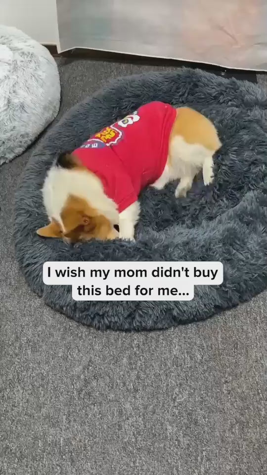 Dogs curling up in the fluffy Mara Calming Donut Bed
